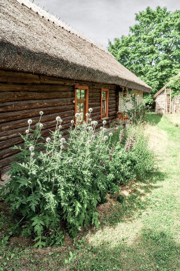 Matsi Cottage Igaküla Exterior foto